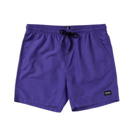 Brand Swimshorts - Purple - 2024