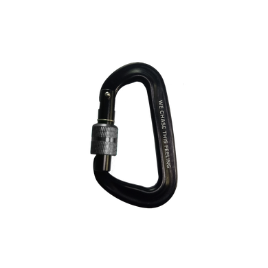 Carabiner - 2025