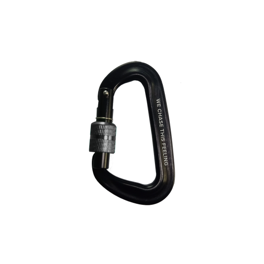 Carabiner - 2025