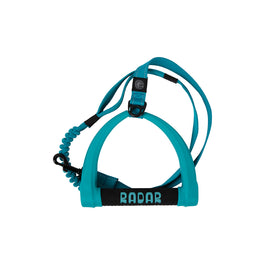 5 ft. Bungee Dog Leash - Blue - 2025